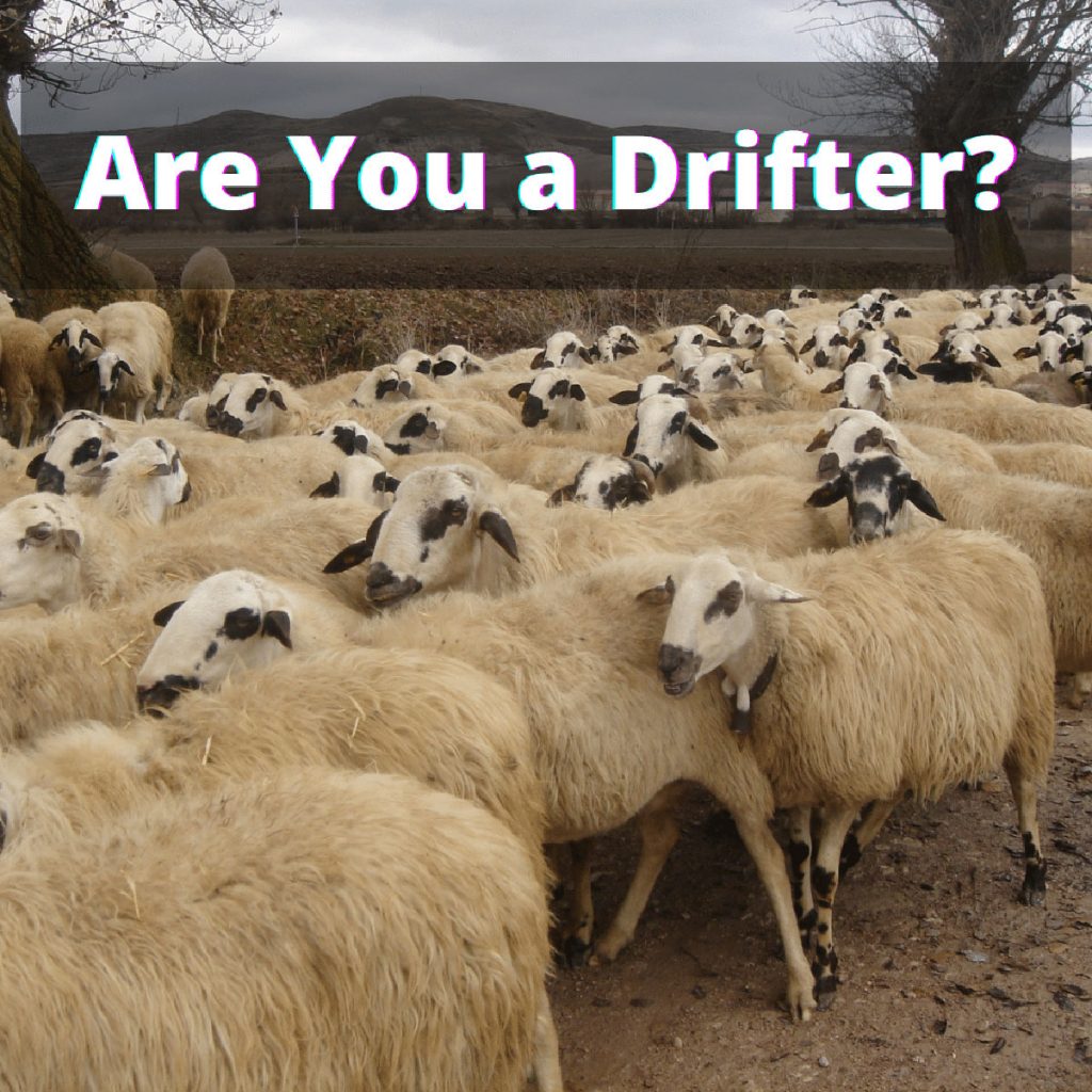 Are you Drifter?