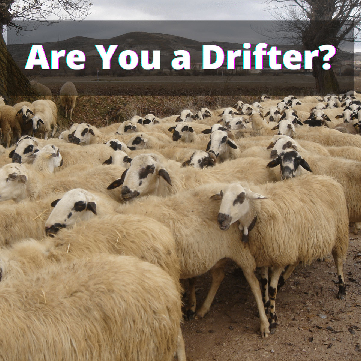 Are you Drifter?