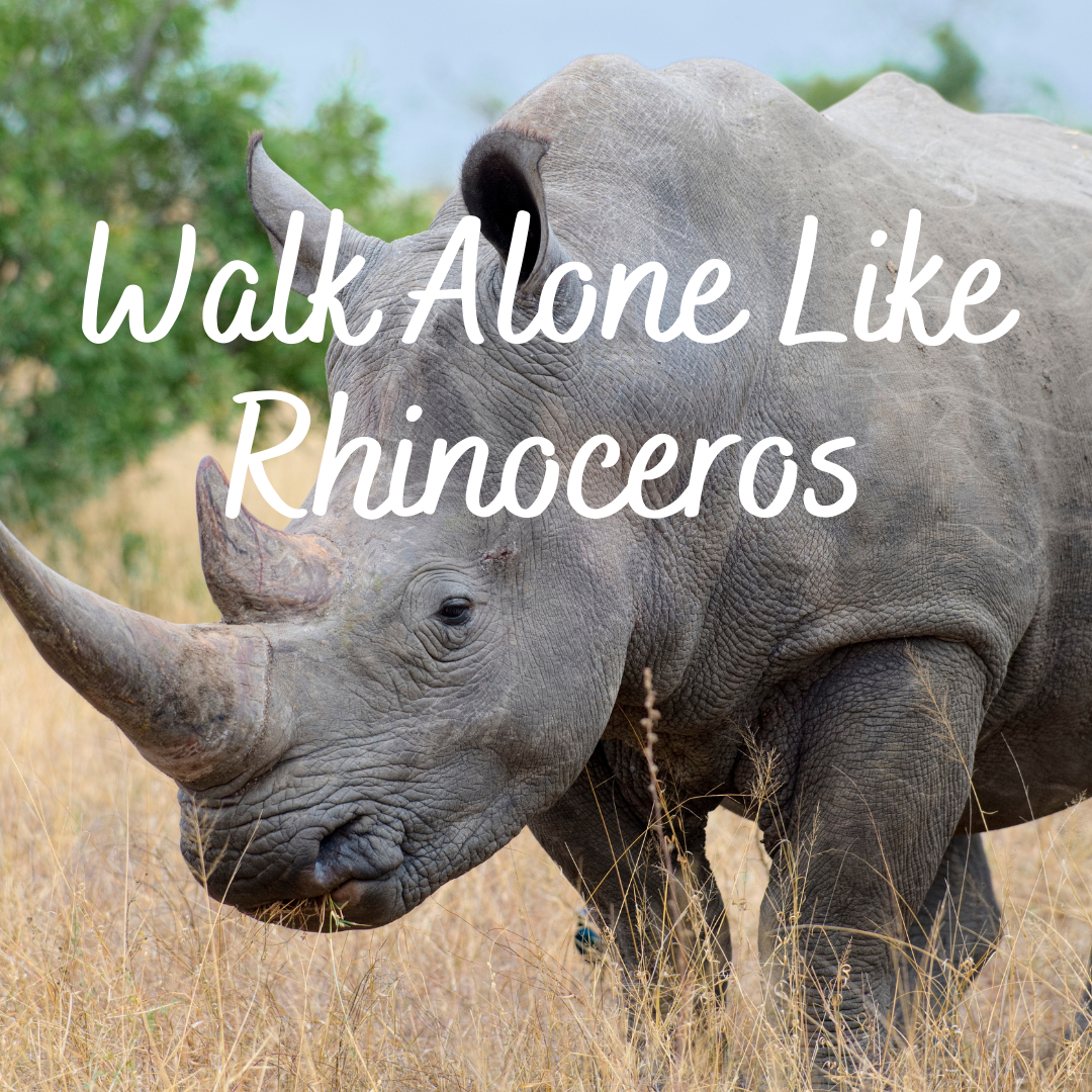 Walk Alone Like Rhinoceros